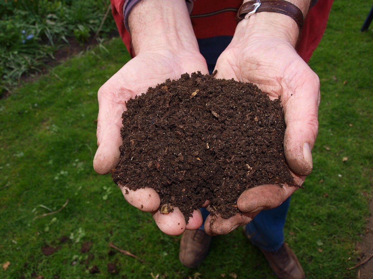hand of compost